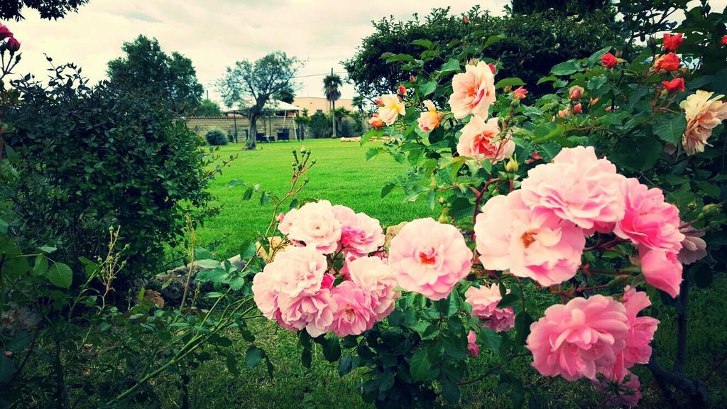 Villa Elegance Ladispoli Dış mekan fotoğraf