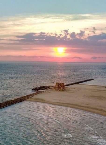 Villa Elegance Ladispoli Dış mekan fotoğraf