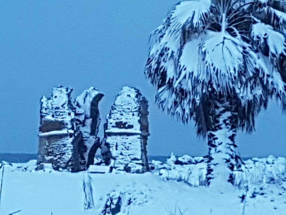 Villa Elegance Ladispoli Dış mekan fotoğraf
