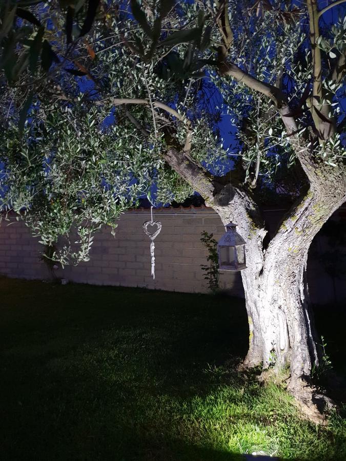 Villa Elegance Ladispoli Dış mekan fotoğraf