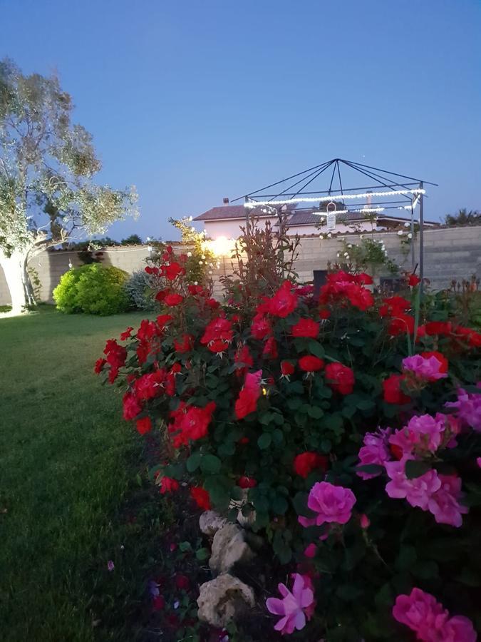 Villa Elegance Ladispoli Dış mekan fotoğraf
